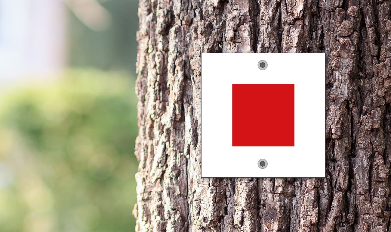 weißes Quadrat mit rotem Quadrat auf Baumstamm