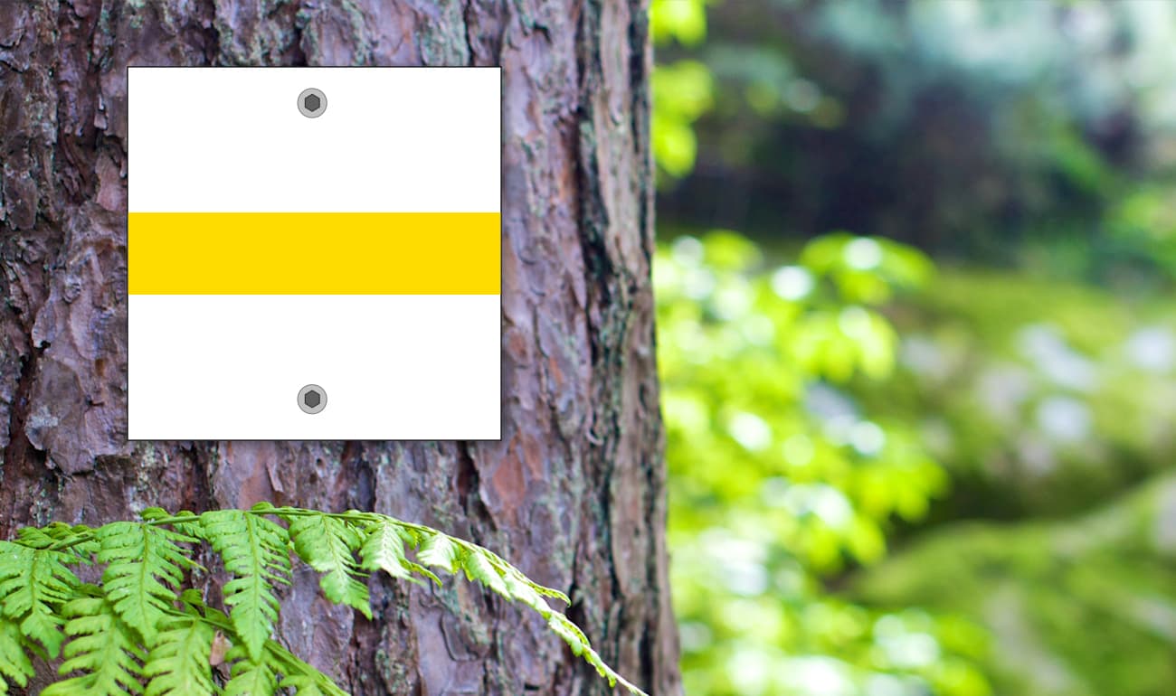 weißes Quadrat mit gelben Strich auf Baumstamm